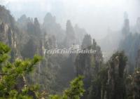 Yuanjiajie Scenic Area Zhangjiajie China 