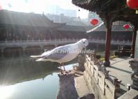 Yuantong Temple Ancient Building China
