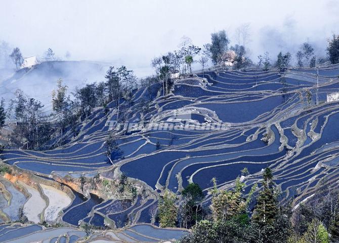 Honghe Hani Rice Terraces China