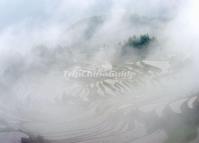Yunhe Rice Terraces in Mist