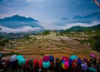 Distant View of the Yunhe Rice Terraces from a Viewing Platform