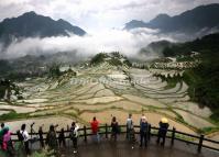 Yunhe Rice Terraces