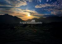 Yunhe Rice Terraces Morning