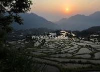 Yunhe Rice Terraces Sunset