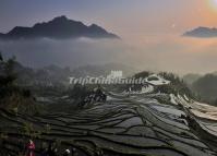 Sea of Clouds Over the Yunhe Rice Terraces