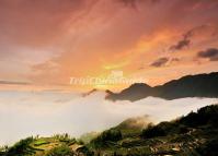 Yunhe Rice Terraces and Sunglow