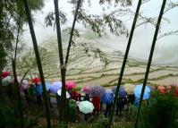 Visit Yunhe Rice Terraces