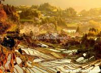The Beautiful Yunhe Rice Terraces in Zhejiang