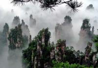 Zhangjiajie Forest Park