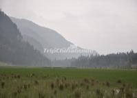 Zhima Tibetan Village