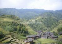 Zhongliu Village Guilin China 