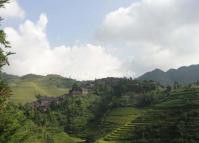 Zhongliu Village Scenery Longsheng 