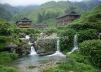 Zhongliu Village Landscape Longsheng 