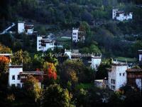 Zhonglu Tibetan Village