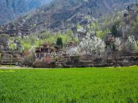 Zhonglu Tibetan Village