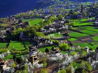 Zhonglu Tibetan Village
