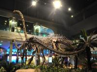 Zigong Dinosaur Museum 