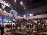 Zigong Dinosaur Museum 