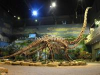 Zigong Dinosaur Museum 