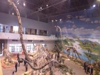 Zigong Dinosaur Museum 