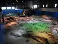 China Zigong Dinosaur Museum 