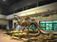 Zigong Dinosaur Museum 